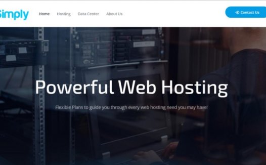 HostedSimply – 洛杉矶OVZ 黑五促销 $7/年 支付宝