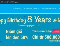 Vhost – 1C 1G 20G 不限流量 100M 口 KVM 月付$3.52 VNPT线路 电信移动直连