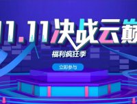 景安 – 双十一促销 力度一般