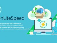 OpenLiteSpeed  WordPress Mysql/MarriDB 官方一键安装脚本