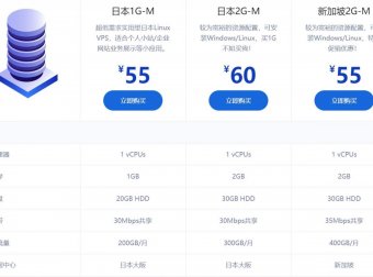 HOSTKVM – 44元/月 KVM 1核 1G 20G 200G 30M 日本