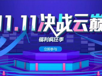 景安 – 双十一促销 力度一般