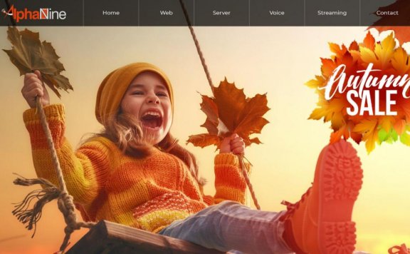 Alphanine – 美国VPS 首月6折 老牌主机商 国内未见评测