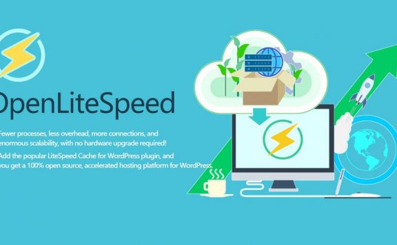 OpenLiteSpeed  WordPress Mysql/MarriDB 官方一键安装脚本