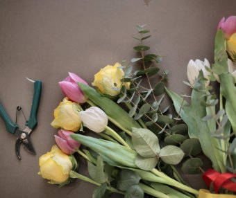 Office精简绿色版合集 03-2016